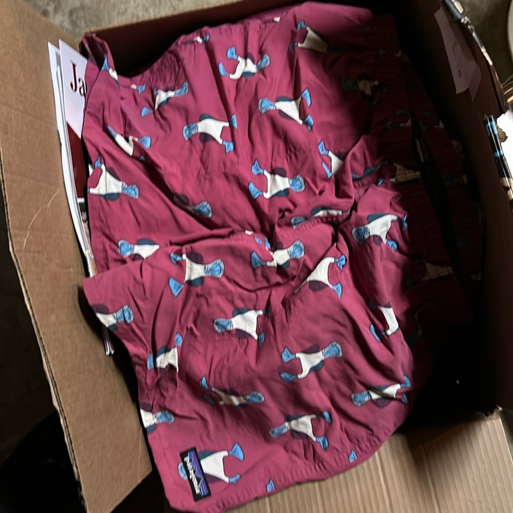 Patagonia men’s shorts
